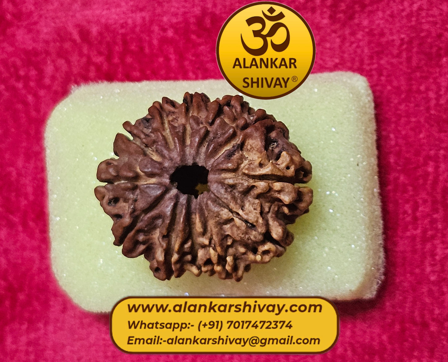 12 MUKHI RUDRAKSH NEPAL ORIGIN WITH LAB CERTIFICATION