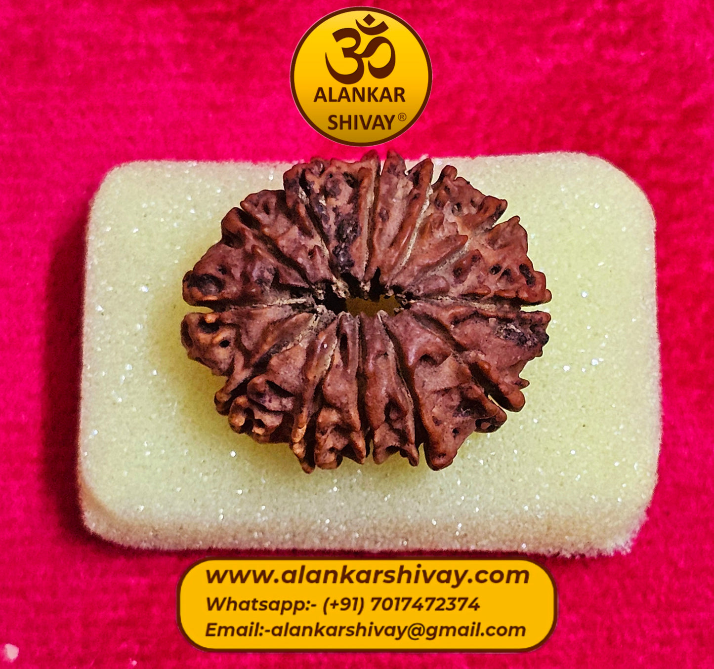 12 MUKHI RUDRAKSH NEPAL ORIGIN WITH LAB CERTIFICATION