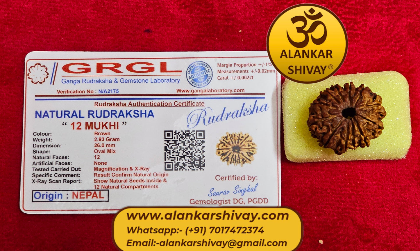 12 MUKHI RUDRAKSH NEPAL ORIGIN WITH LAB CERTIFICATION