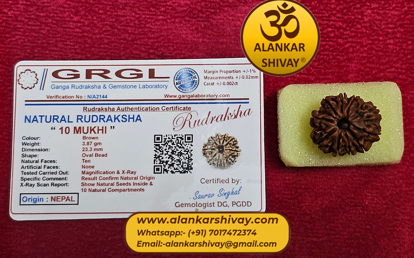 10 MUKHI RUDRAKSH NEPAL ORIGIN WITH LAB CERTIFICATION