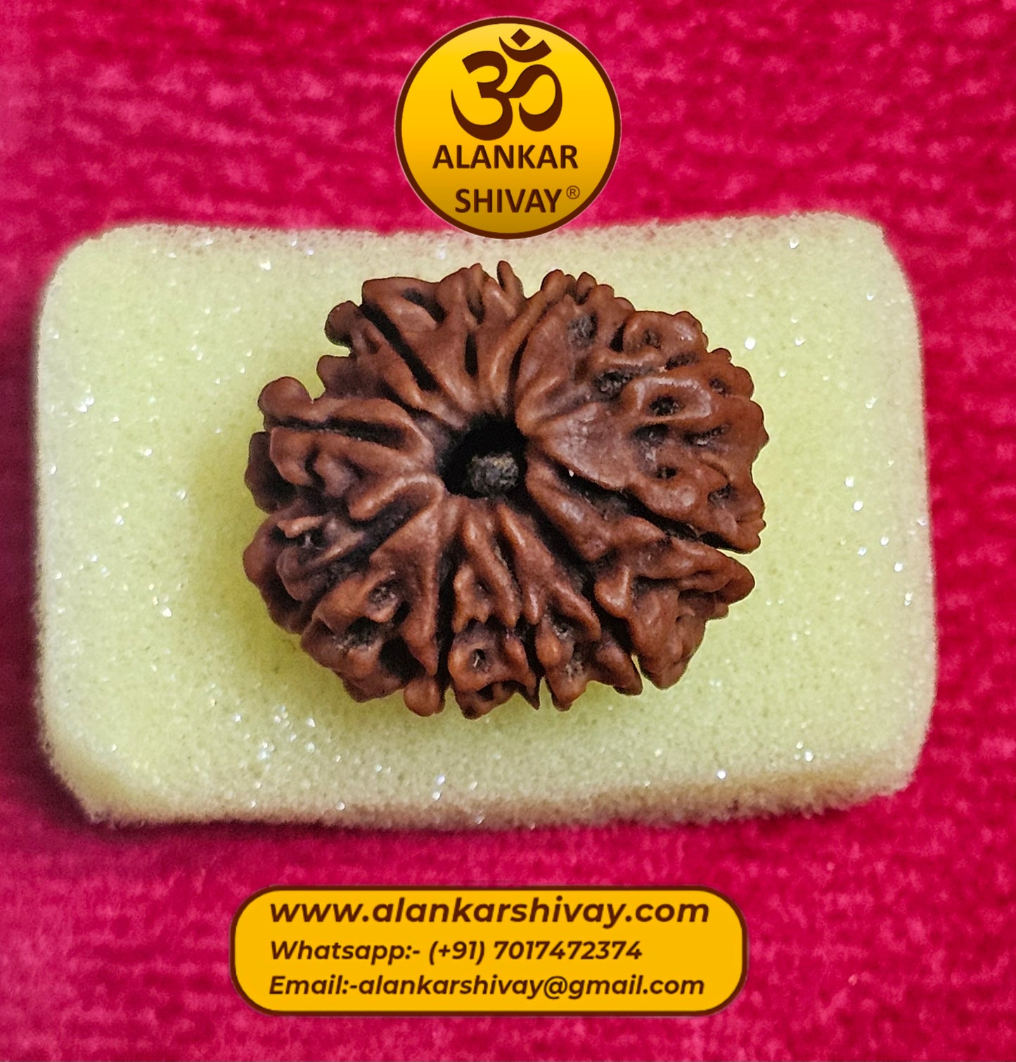 10 MUKHI RUDRAKSH NEPAL ORIGIN WITH LAB CERTIFICATION