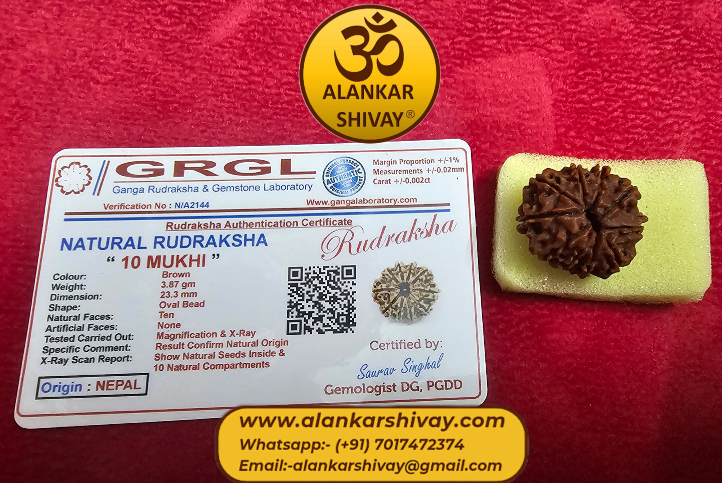 10 MUKHI RUDRAKSH NEPAL ORIGIN WITH LAB CERTIFICATION