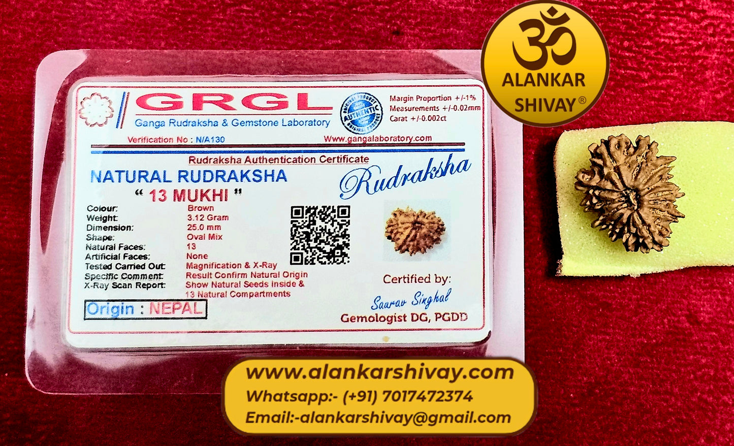 13 MUKHI RUDRAKSH NEPAL ORIGIN WITH LAB CERTIFICATION