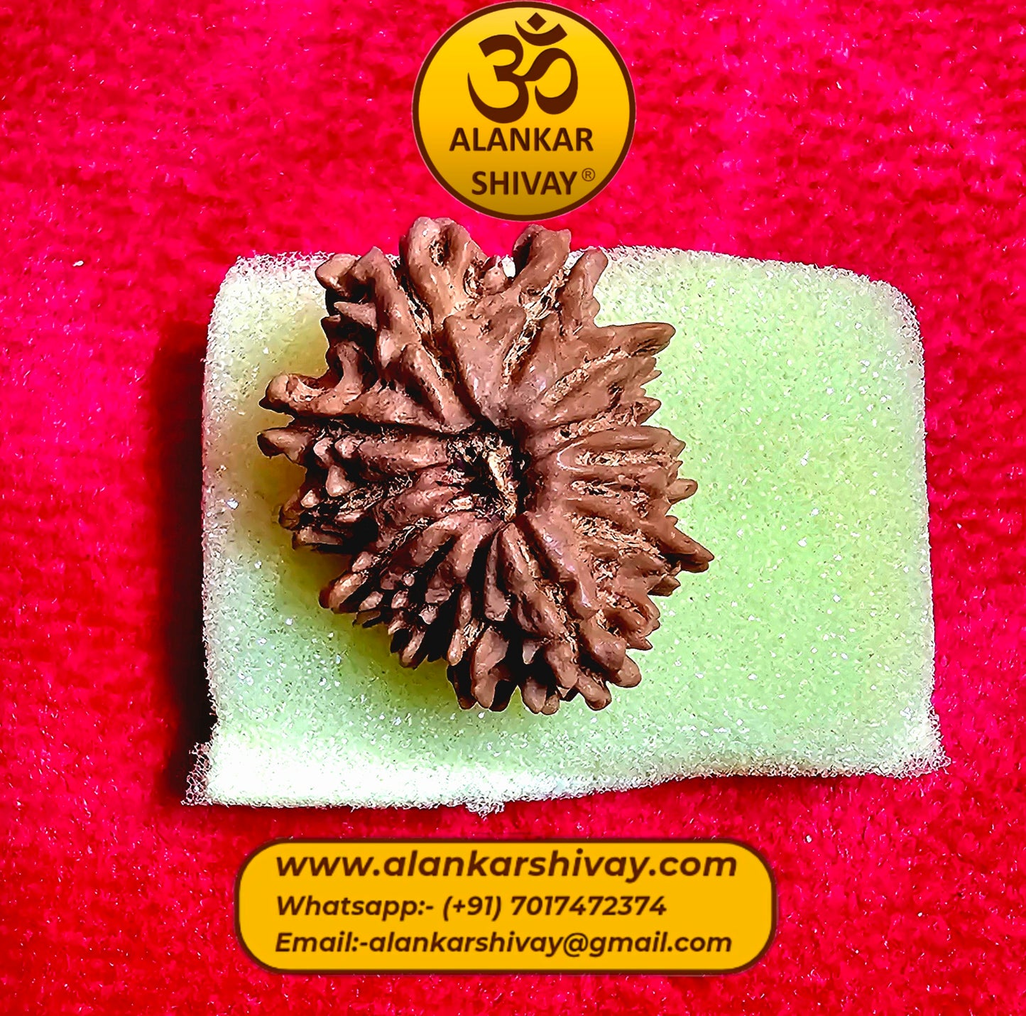 13 MUKHI RUDRAKSH NEPAL ORIGIN WITH LAB CERTIFICATION