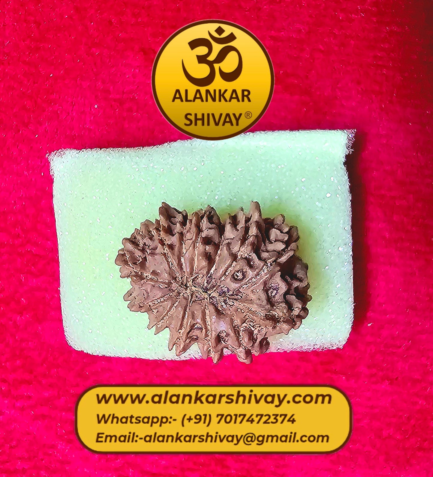 13 MUKHI RUDRAKSH NEPAL ORIGIN WITH LAB CERTIFICATION