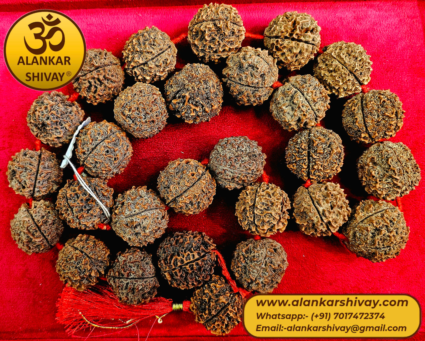 HUGE 5 MUKHI RUDRAKSHA RARE - BIG(27+1 BEADS) (35MM IN SIZE)