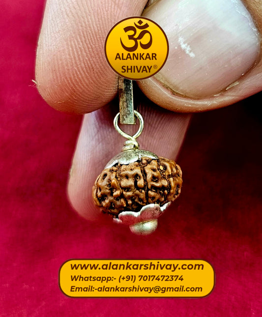 10 MUKHI RUDRAKSH WITH LAB CERTIFICATION(INDONESIAN ORIGIN)