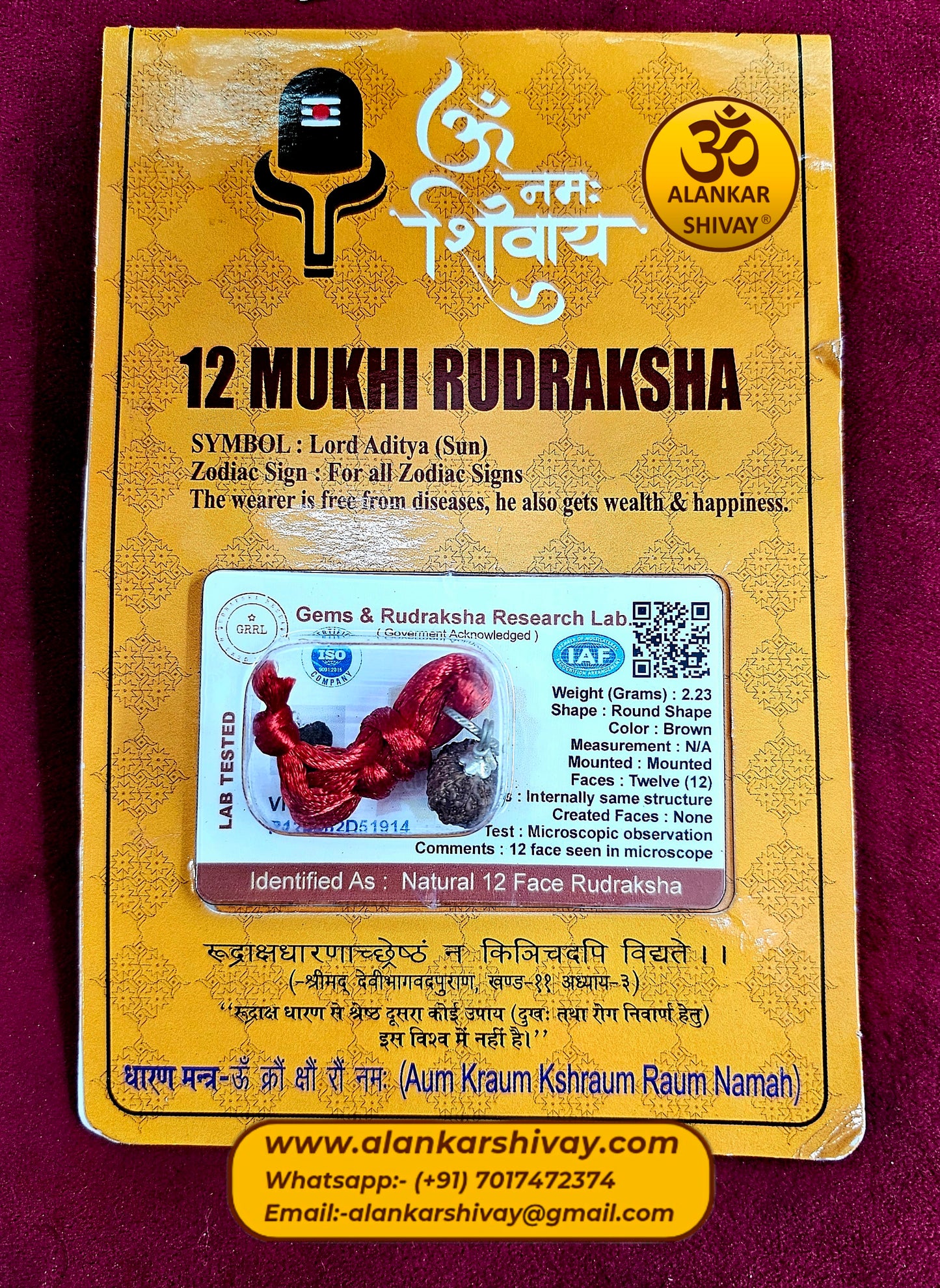 12 MUKHI RUDRAKSH WITH LAB CERTIFICATION(INDONESIAN ORIGIN)