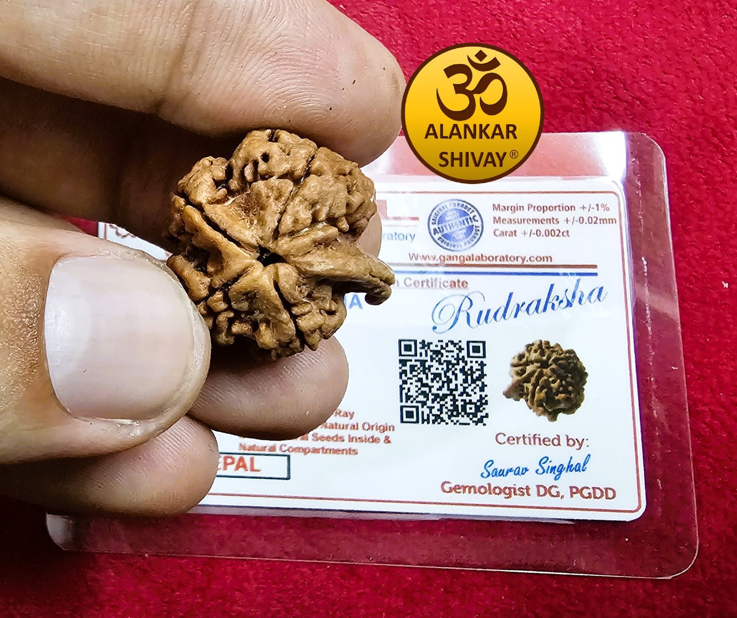 VIGNAHARTA GANESH MUKHI RUDRAKSHA NEPAL ORIGIN WITH LAB CERTIFICATION