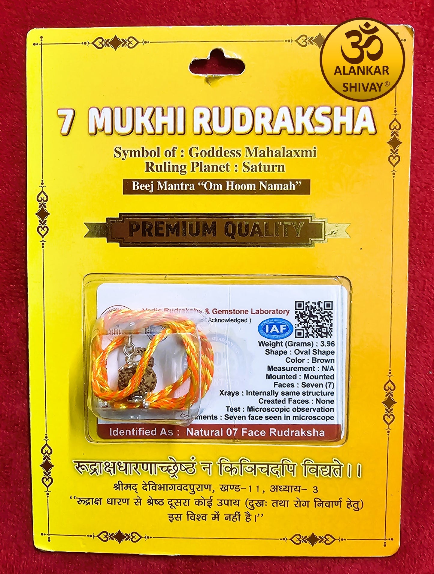 7 MUKHI RUDRAKSH  WITH LAB CERTIFICATION (INDONESIAN ORIGIN)