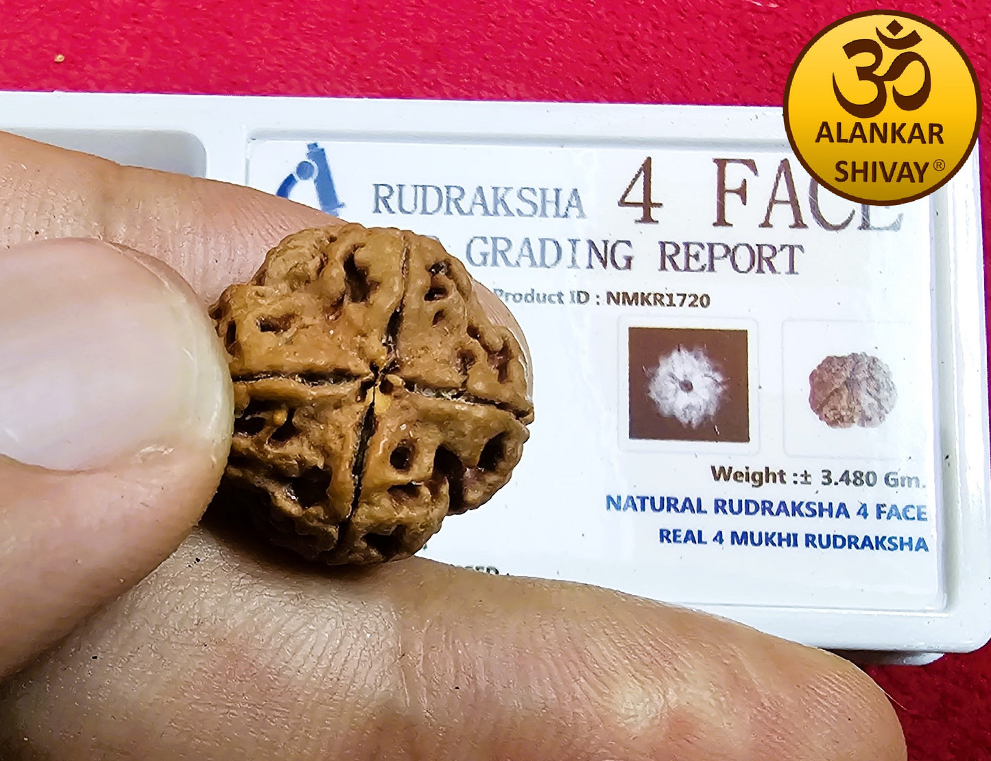 4 MUKHI RUDRAKSH WITH LAB CERTIFICATION