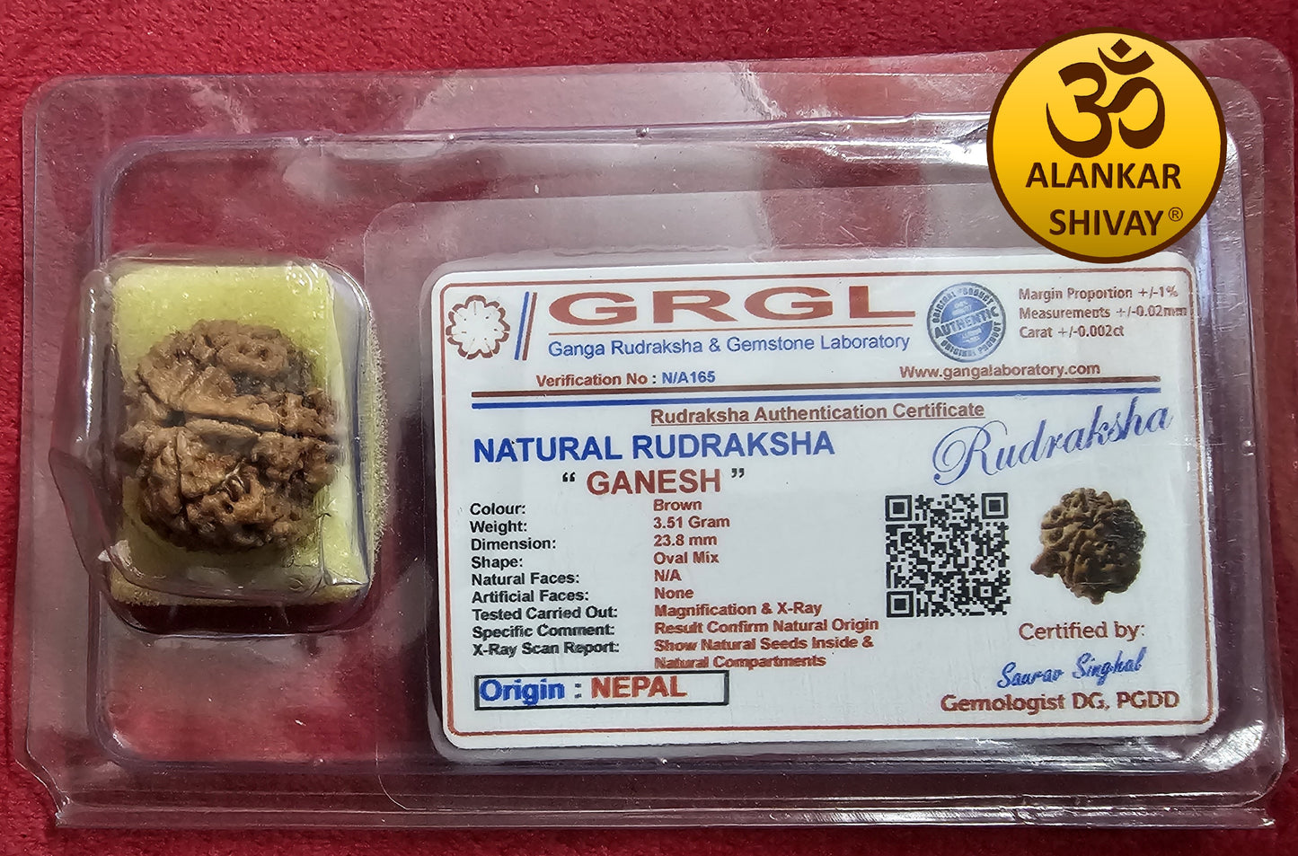 VIGNAHARTA GANESH MUKHI RUDRAKSHA NEPAL ORIGIN WITH LAB CERTIFICATION