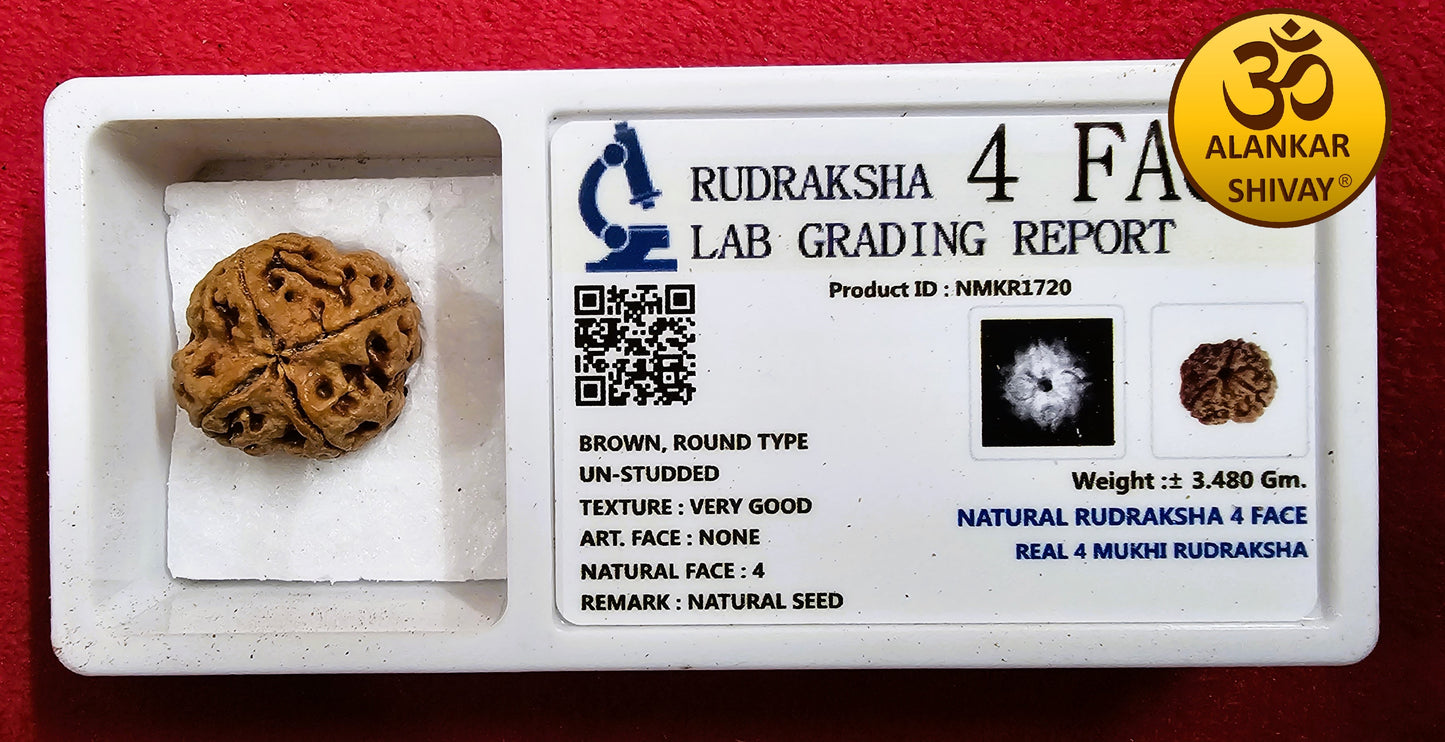 4 MUKHI RUDRAKSH WITH LAB CERTIFICATION