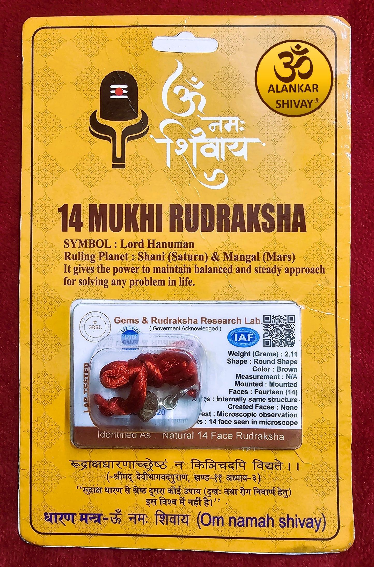 14 MUKHI RUDRAKSH WITH LAB CERTIFICATION(INDONESIAN ORIGIN)