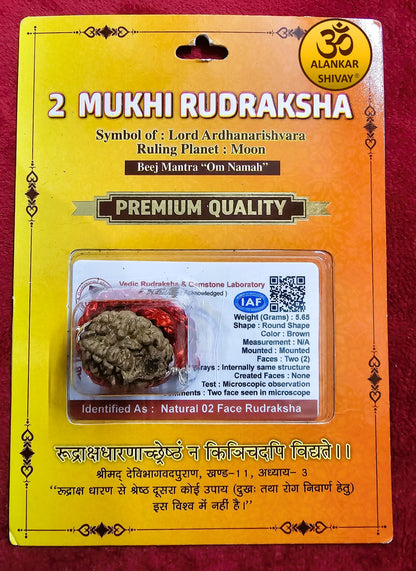 2 MUKHI RUDRAKSH WITH LAB CERTIFICATION
