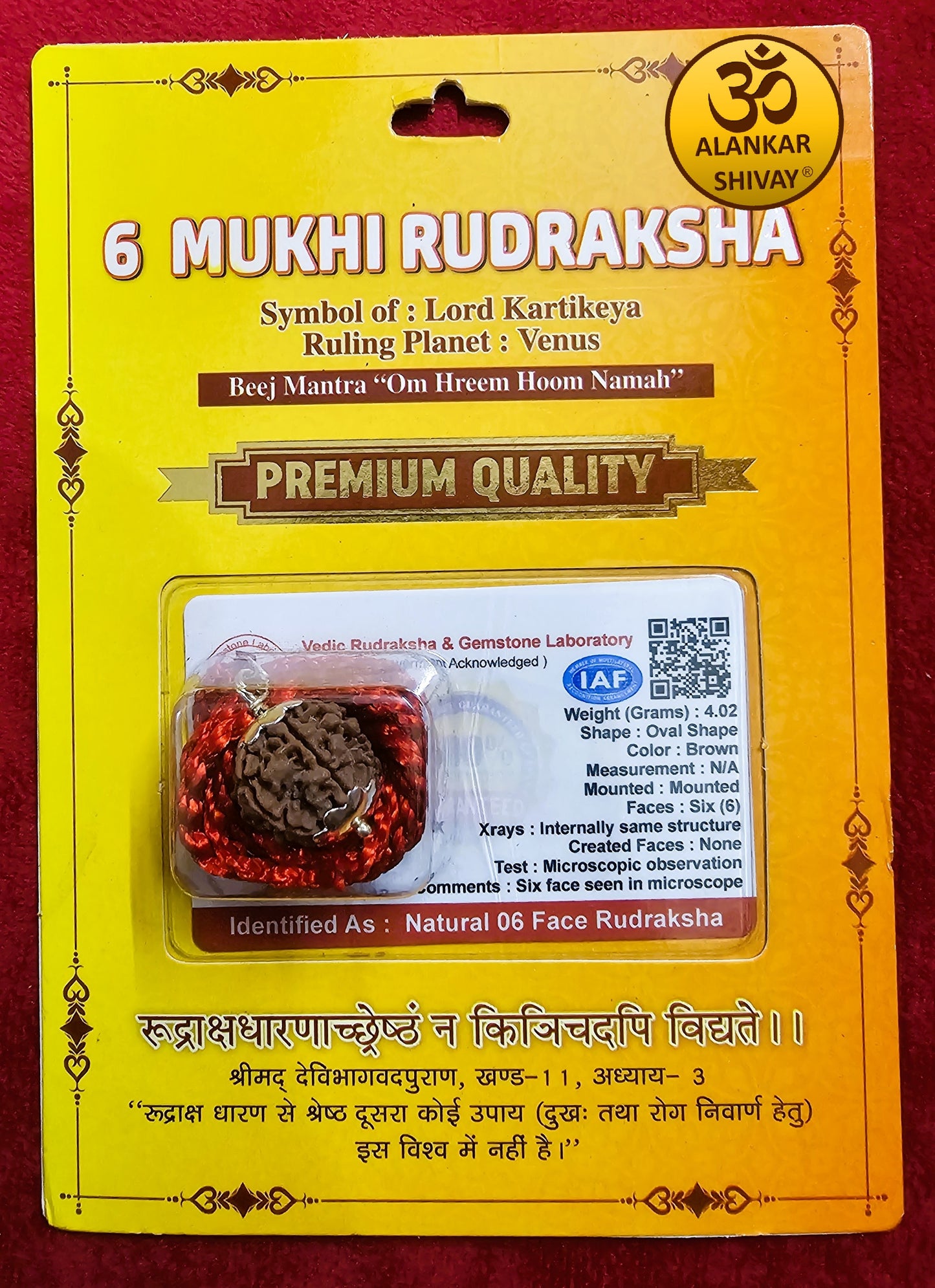 6 MUKHI NEPALI RUDRAKSH WITH LAB CERTIFICATION