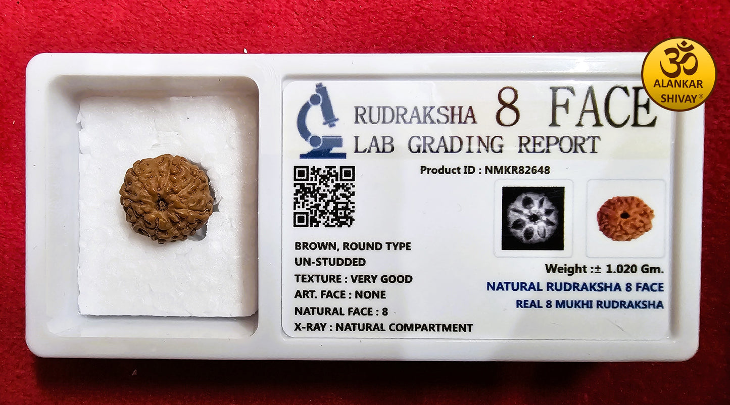 8 MUKHI RUDRAKSH  WITH LAB CERTIFICATION (INDONESIAN ORIGIN)