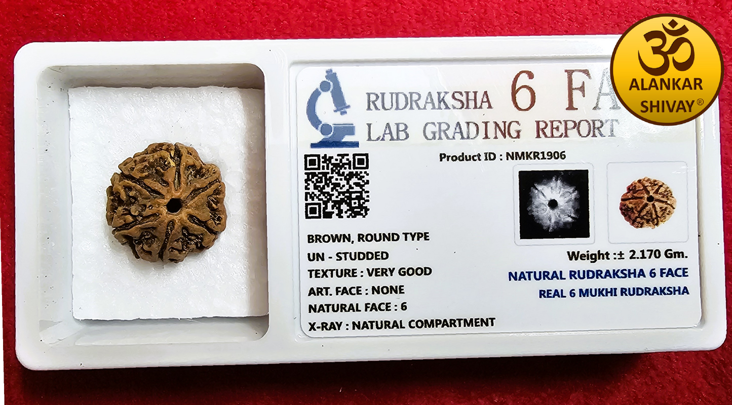 6 MUKHI NEPALI RUDRAKSH WITH LAB CERTIFICATION