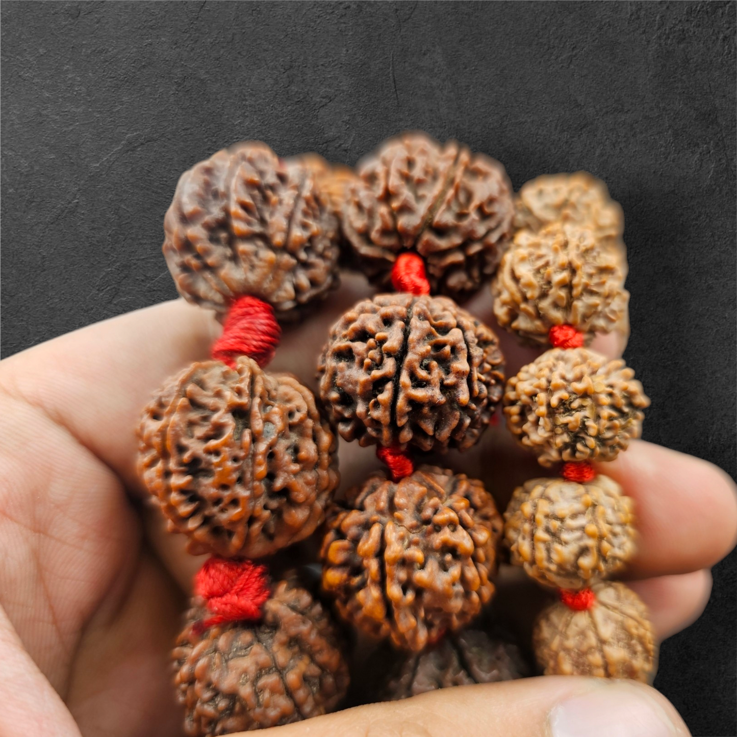 7 MUKHI RUDRAKSH BRACELET