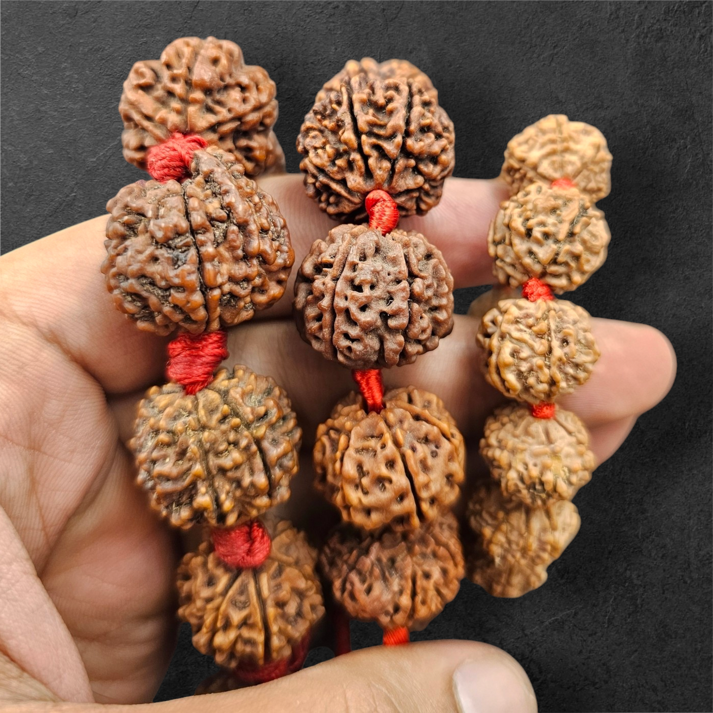 7 MUKHI RUDRAKSH BRACELET