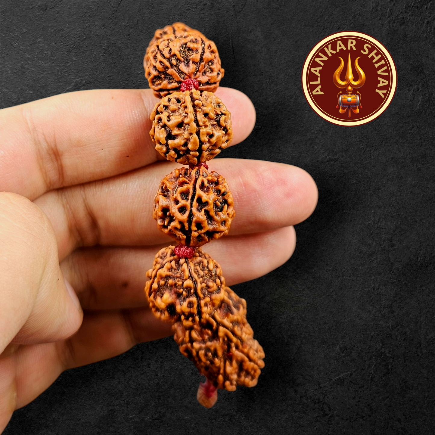 5 FACE NEPALI RUDRAKSH BRACELET (ADJUSTABLE SIZE)