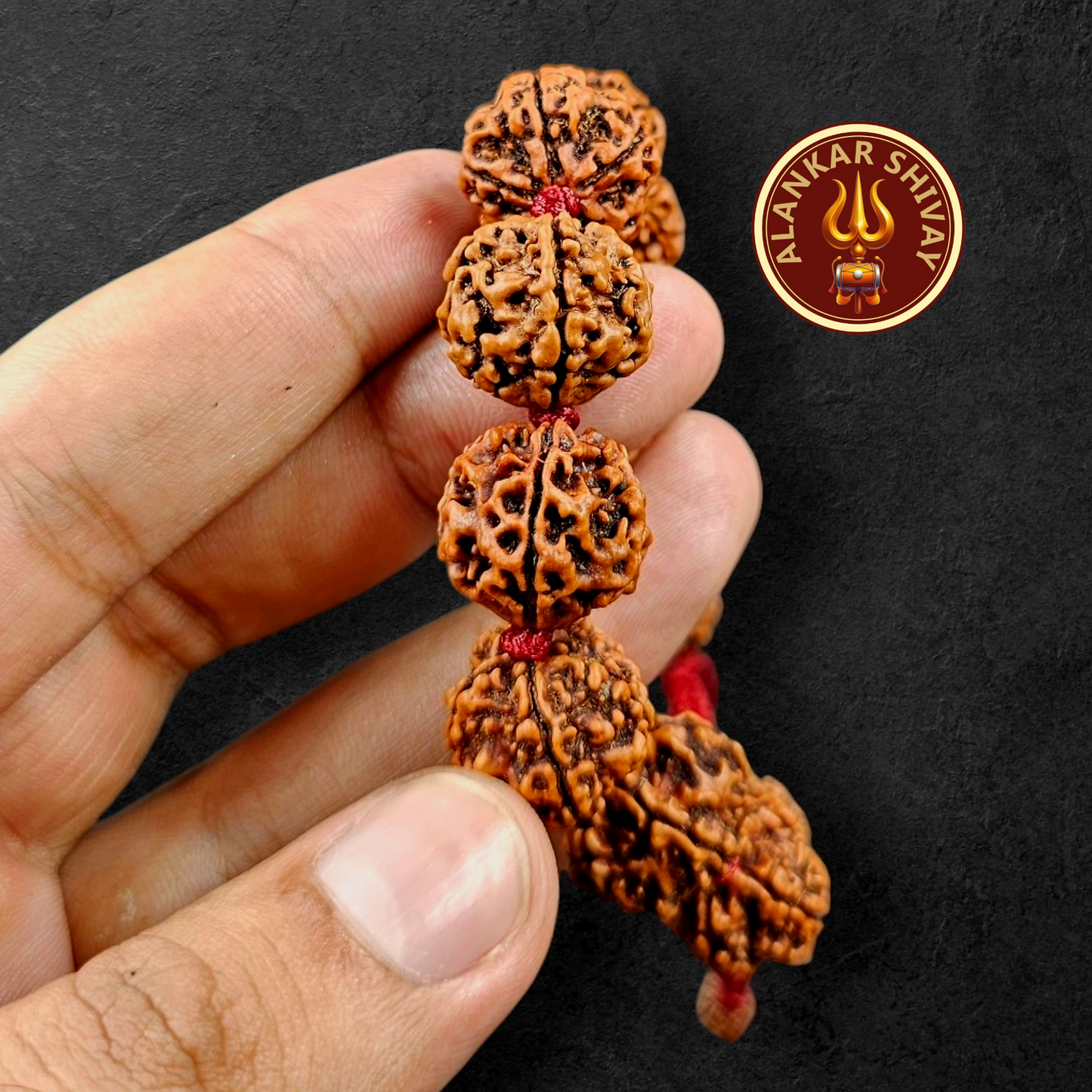 5 FACE NEPALI RUDRAKSH BRACELET (ADJUSTABLE SIZE)