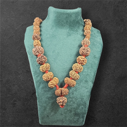 1 - 14 MUKHI RUDRAKSHA NEPAL SIDDH MALA WITH GOVERNMENT CERTIFIED DETAILED X-RAYS LAB REPORT