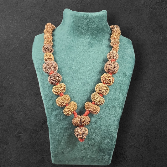 1 - 14 MUKHI RUDRAKSHA NEPAL SIDDH MALA WITH GOVERNMENT CERTIFIED DETAILED X-RAYS LAB REPORT