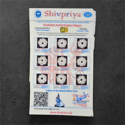 1 - 14 MUKHI RUDRAKSHA NEPAL SIDDH MALA WITH GOVERNMENT CERTIFIED DETAILED X-RAYS LAB REPORT