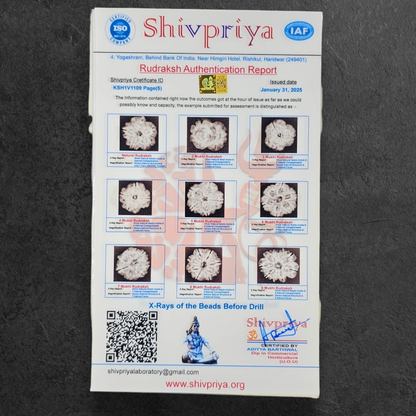 1 - 14 MUKHI RUDRAKSHA NEPAL SIDDH MALA WITH GOVERNMENT CERTIFIED DETAILED X-RAYS LAB REPORT
