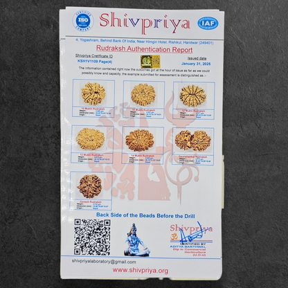 1 - 14 MUKHI RUDRAKSHA NEPAL SIDDH MALA WITH GOVERNMENT CERTIFIED DETAILED X-RAYS LAB REPORT