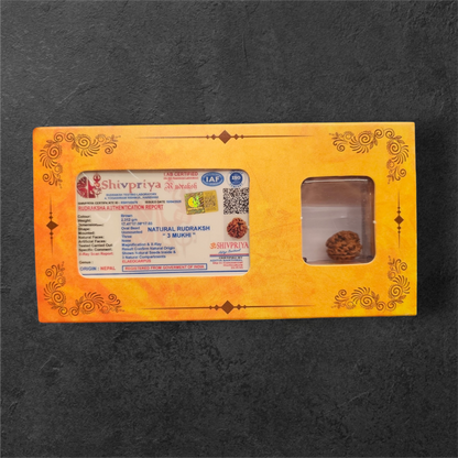 3 MUKHI RUDRAKSH NEPAL ORIGIN WITH X RAY LAB CERTIFICATION