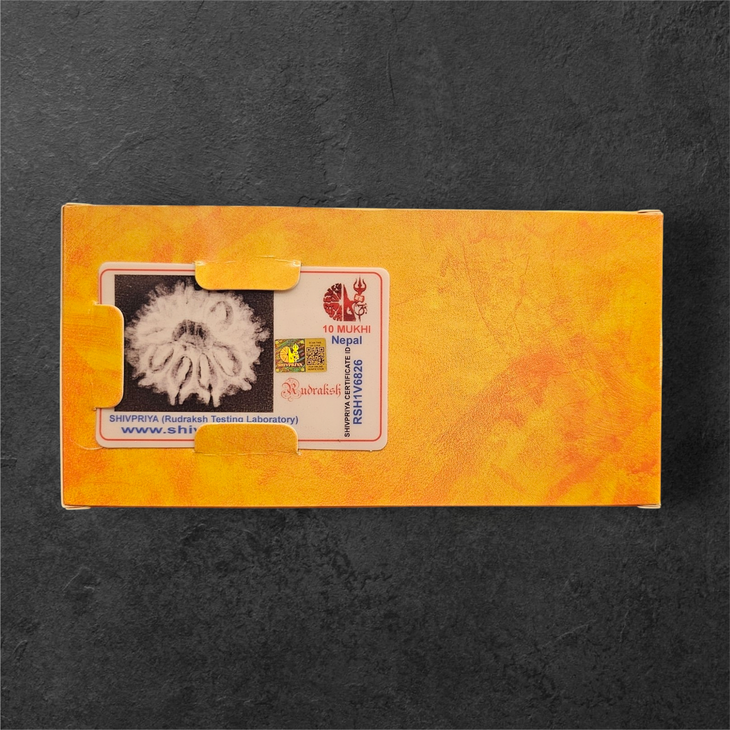 10 MUKHI RUDRAKSH NEPAL ORIGIN WITH X RAYS LAB CERTIFICATION