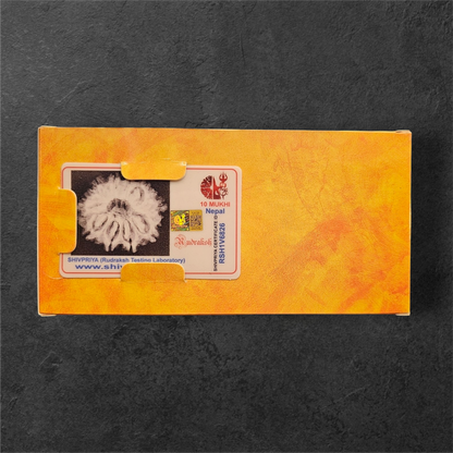 10 MUKHI RUDRAKSH NEPAL ORIGIN WITH X RAYS LAB CERTIFICATION