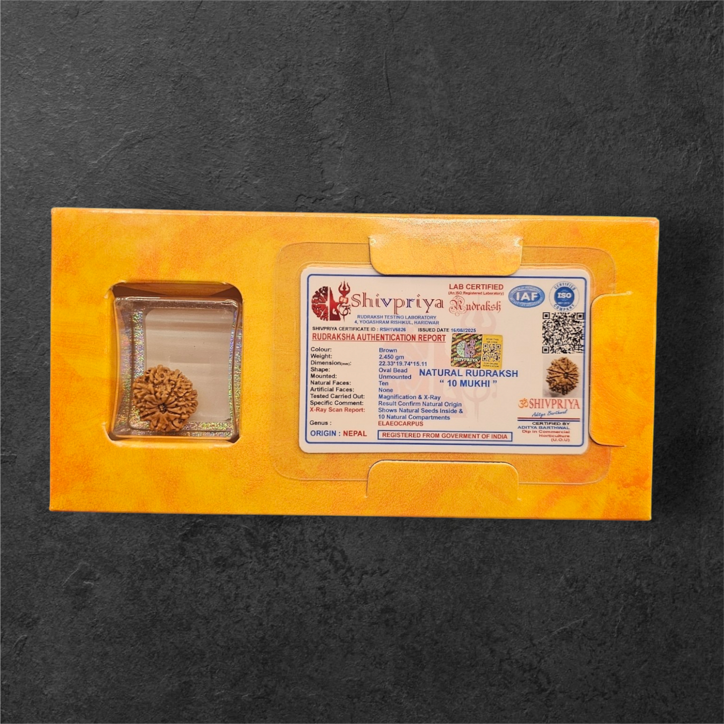 10 MUKHI RUDRAKSH NEPAL ORIGIN WITH X RAYS LAB CERTIFICATION