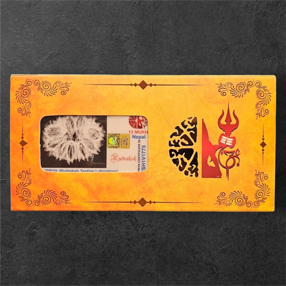 13 MUKHI RUDRAKSH NEPAL ORIGIN WITH LAB CERTIFICATION