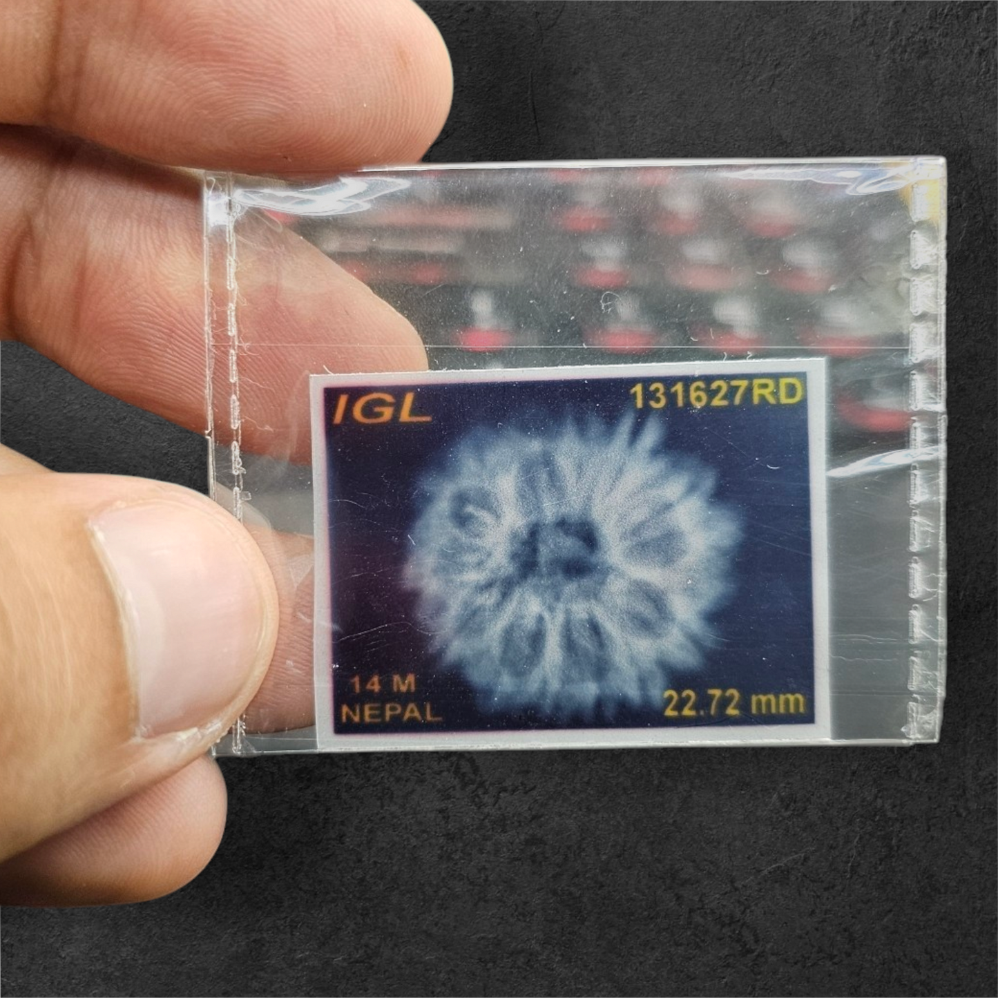 14 MUKHI RUDRAKSH NEPAL ORIGIN WITH LAB CERTIFICATION