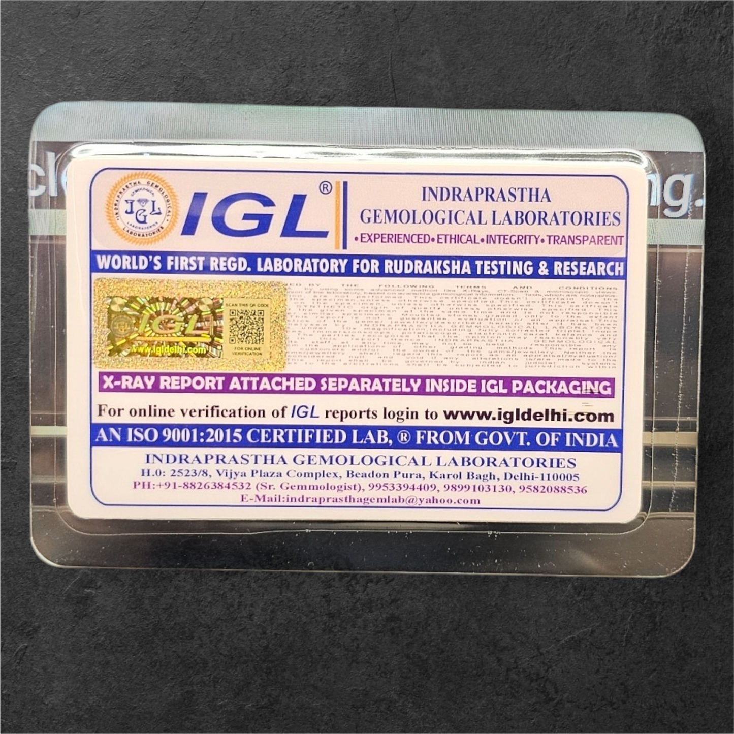 14 MUKHI RUDRAKSH NEPAL ORIGIN WITH LAB CERTIFICATION