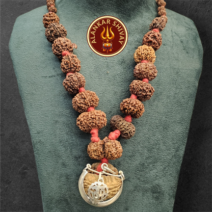 1 - 14 MUKHI RUDRAKSHA NEPAL SIDDH MALA WITH GOVERNMENT CERTIFIED DETAILED X-RAYS LAB REPORT