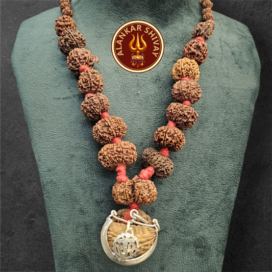 1 - 14 MUKHI RUDRAKSHA NEPAL SIDDH MALA WITH GOVERNMENT CERTIFIED DETAILED X-RAYS LAB REPORT