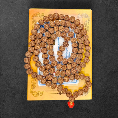 PREMIUM CHIKNA(HEAVY) RUDRAKSH MALA (108+1 BEADS)WITH LAB CERTIFICATION