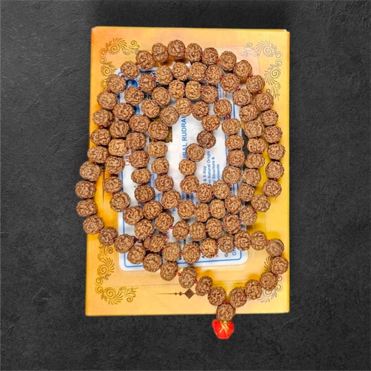 PREMIUM CHIKNA(HEAVY) RUDRAKSH MALA (108+1 BEADS)WITH LAB CERTIFICATION