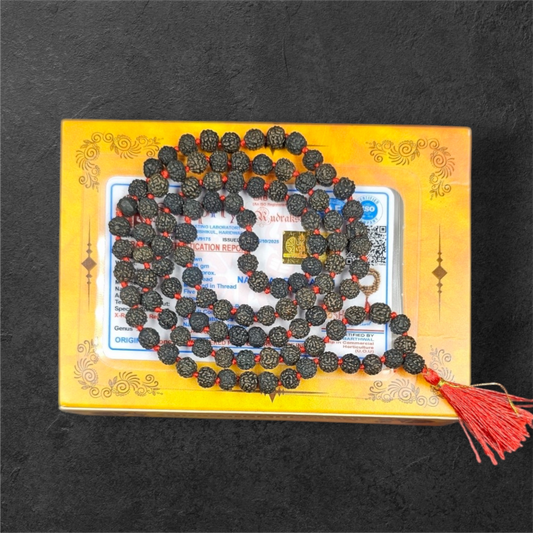 BLACK RUDRAKSH MALA (108+1 BEADS)WITH LAB CERTIFICATION