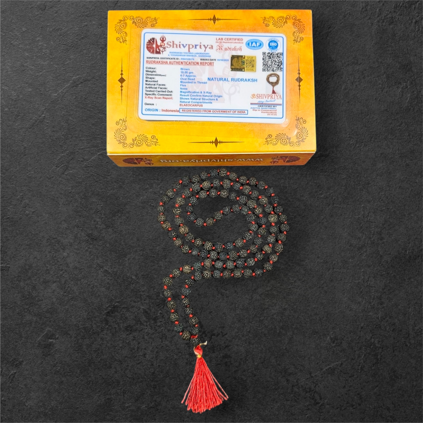 BLACK RUDRAKSH MALA (108+1 BEADS)WITH LAB CERTIFICATION