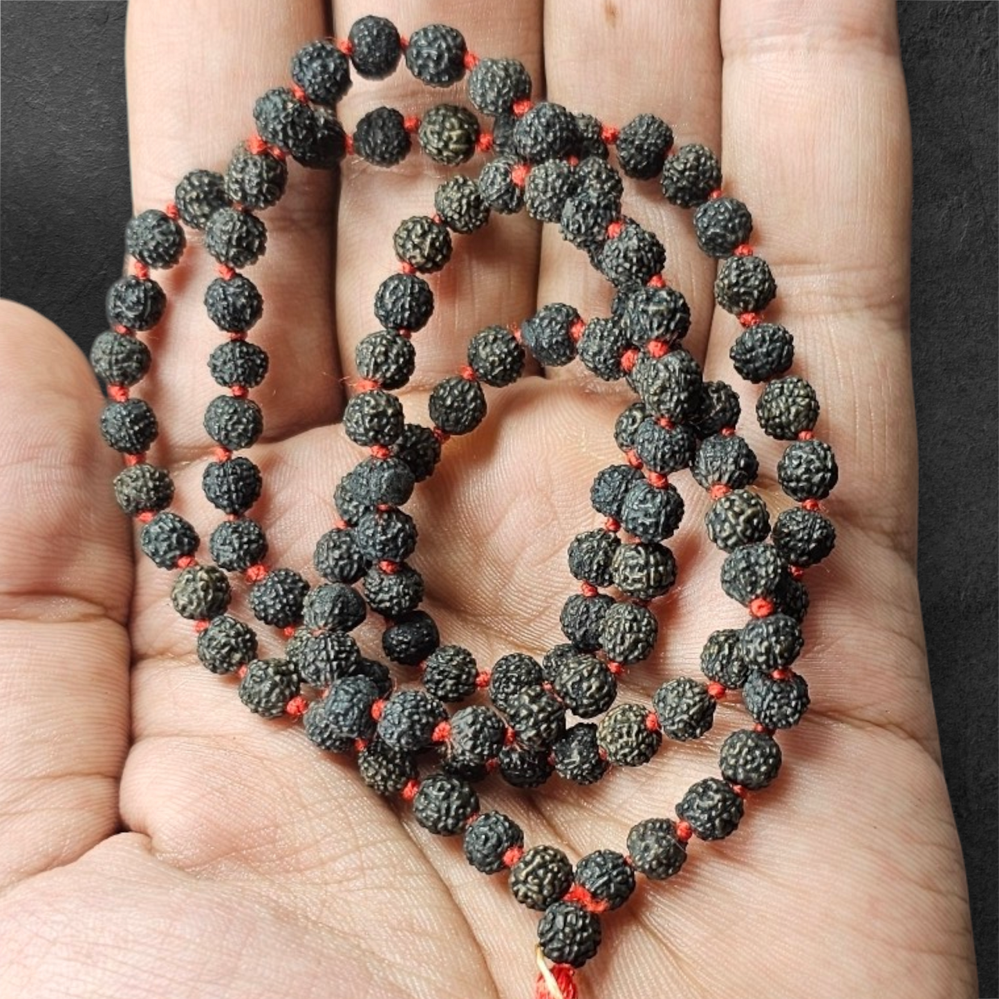 BLACK RUDRAKSH MALA (108+1 BEADS)WITH LAB CERTIFICATION
