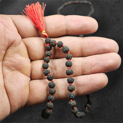 BLACK RUDRAKSH MALA (108+1 BEADS)WITH LAB CERTIFICATION