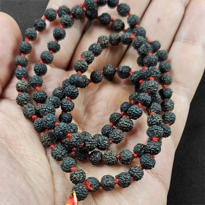 BLACK RUDRAKSH MALA (108+1 BEADS)WITH LAB CERTIFICATION
