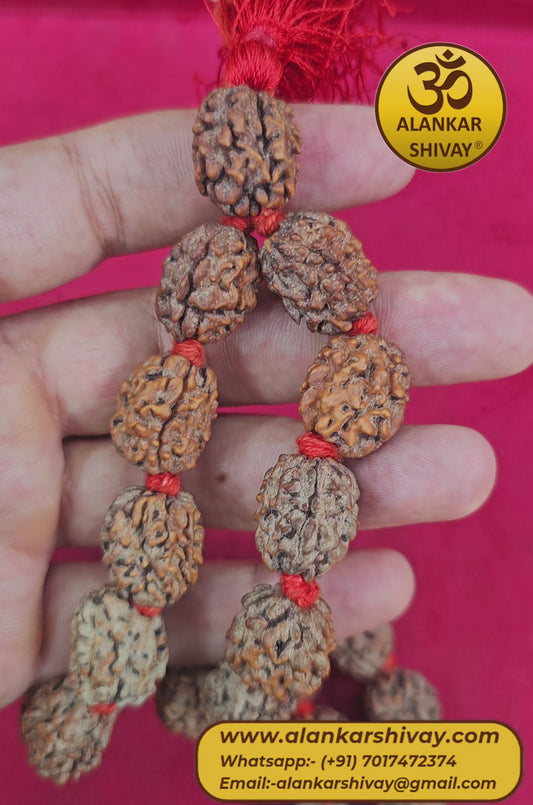 3 MUKHI RUDRAKSHA MALA CERTIFIED