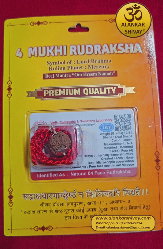 4 MUKHI RUDRAKSH WITH LAB CERTIFICATION