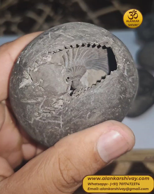 SHALIGRAM BHAGWAAN - LAXMI NARAYAN SHALIGRAM (ORIGINAL FROM GANDAK RIVER, NEPAL):